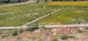 घरजग्गा कारोबारलाई छोएन तरलताको अभावलेः रु ७१ अर्ब राजस्व सङ्कलन