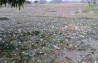 हेटौँडामा हावाहुरी तथा असिनाले रु दुई करोडको क्षति