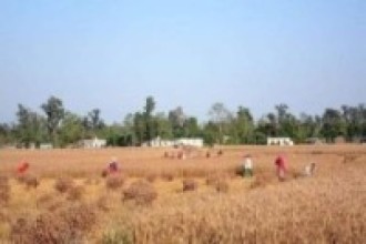 किसानलाई बन्दाबन्दीको छैन पर्वाह