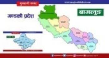मतदान गर्न गाउँ फर्किए मतदाता