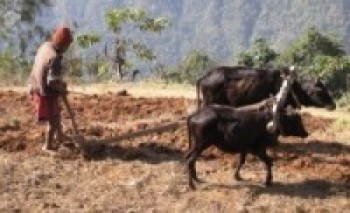 किसानलाई राहत घोषणा गर्न आग्रह