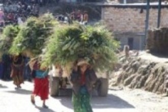 लकडाउनमा रोगको भन्दा चिन्ता केवल दाउरा घाँसको