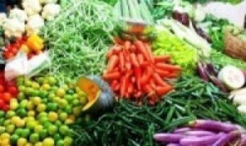 पाल्पामा तरकारी आयात खुला