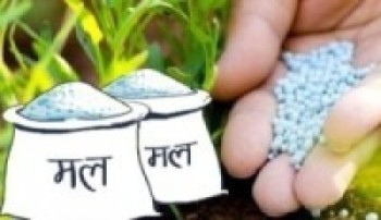 मल नपाउँदा किसान चिन्तामा