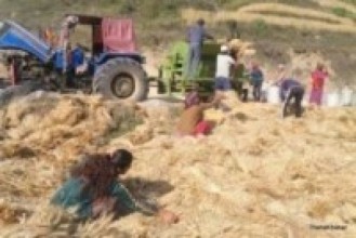 किसानलाई बाली भित्र्याउन र लगाउन चटारो