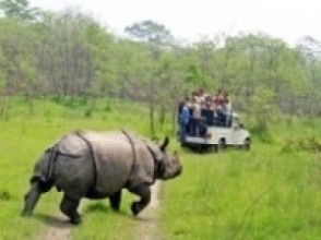 नेपाललाई गैँडाको देश भनेर चिनाउन सकिने