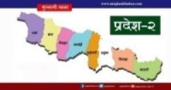 प्रदेश नं २ मा कोरोना सङ्क्रमित १३१