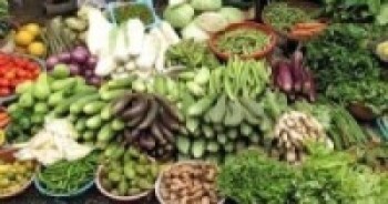 किसानले उत्पादन गरेको तरकारीले बजार मूल्य नपाउँदा आर्थिक सङ्कट   