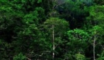 नेपालको वन चाहर्दै जर्मनीका विद्यार्थी