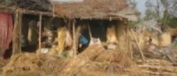 हावाहुरीले घरको छानो उडाएपछि ढोरफिर्दीवासीको बिचल्ली   