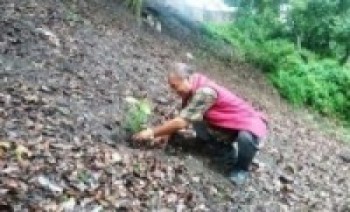 विष्णुवीर र अरनिको राजमार्गमा वृक्षरोपण  
