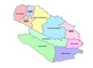 दाङमा एमालेका पाँच महिला वडाध्यक्ष       