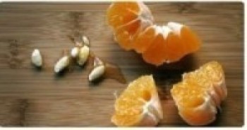 सुन्तलाको बियाँबाट लाखौको आम्दानी