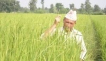 किसानका समस्या बुझ्न कृषि प्राविधिक गाउँगाउँमा