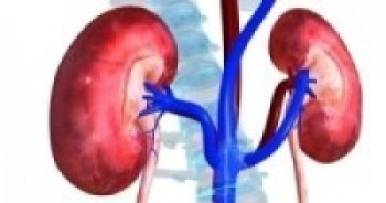 मिर्गौला रोगबाट कसरी बच्न सकिन्छ? अवस्य पढ्नुहोस