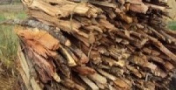 देवघाटमा दाहसंस्कारका लागि दाउराको अभाव  
