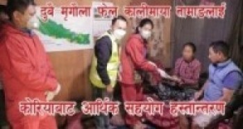 दुबै मृगौला फेल कालीमाया तामाङलाई कोरियाबाट आर्थिक सहयोग (भिडियो सहित)