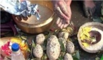 सोह्र श्राद्ध सुरु   