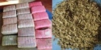 धनुषा प्रहरीद्वारा गाँजासहित एकजना पक्राउ