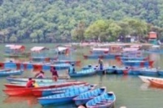 फेवाताल सफाइ महाअभियानमा दुई हजार टन बढी जलकुम्भी निकालियो   