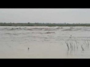 बाढी र पहिराले मानवीय एवं तरकारी बालीमा क्षति   