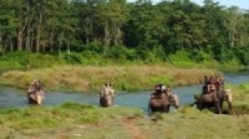 सौराहामा हात्ती सफारीको विकल्प खोजिँदै