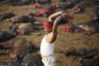 शक्तिपीठमा दिइएन पशुबली   