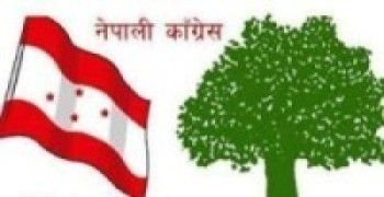 कांग्रेस नेतृत्वलाई युवा नेताहरुको आग्रह   