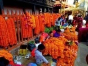 कोरोना असर : पुष्प व्यवसायमा दैनिक एक करोड नोक्सान   