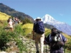 पुरानै लयमा फर्कँदै पर्यटन, दश लाखभन्दा बढी भित्रिए पर्यटक