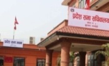 प्रदेश सरकारको नीति तथा कार्यक्रम बहुमतले पारित