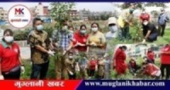 विश्व वातावरण दिवस : गोकर्णेश्वर नगरपालिकामा बृक्षारोपण कार्यक्रम।