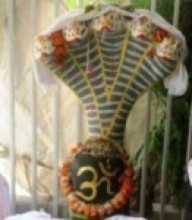 नाग मूर्ति स्थापनासहित विधिपूर्वक प्राणप्रतिष्ठा   