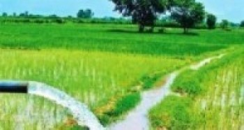 अविरल वर्षाले नहरमा क्षति   