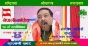 नेपाली कांग्रेस काठमाण्डौ क्षेत्र नं ३ को सभापतिमा नगर प्रमुख चालिसेद्वारा उम्मेदवारी घोषणा