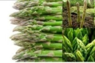 कुरिलोखेतीबाट एकै याममा सात लाख मुनाफा