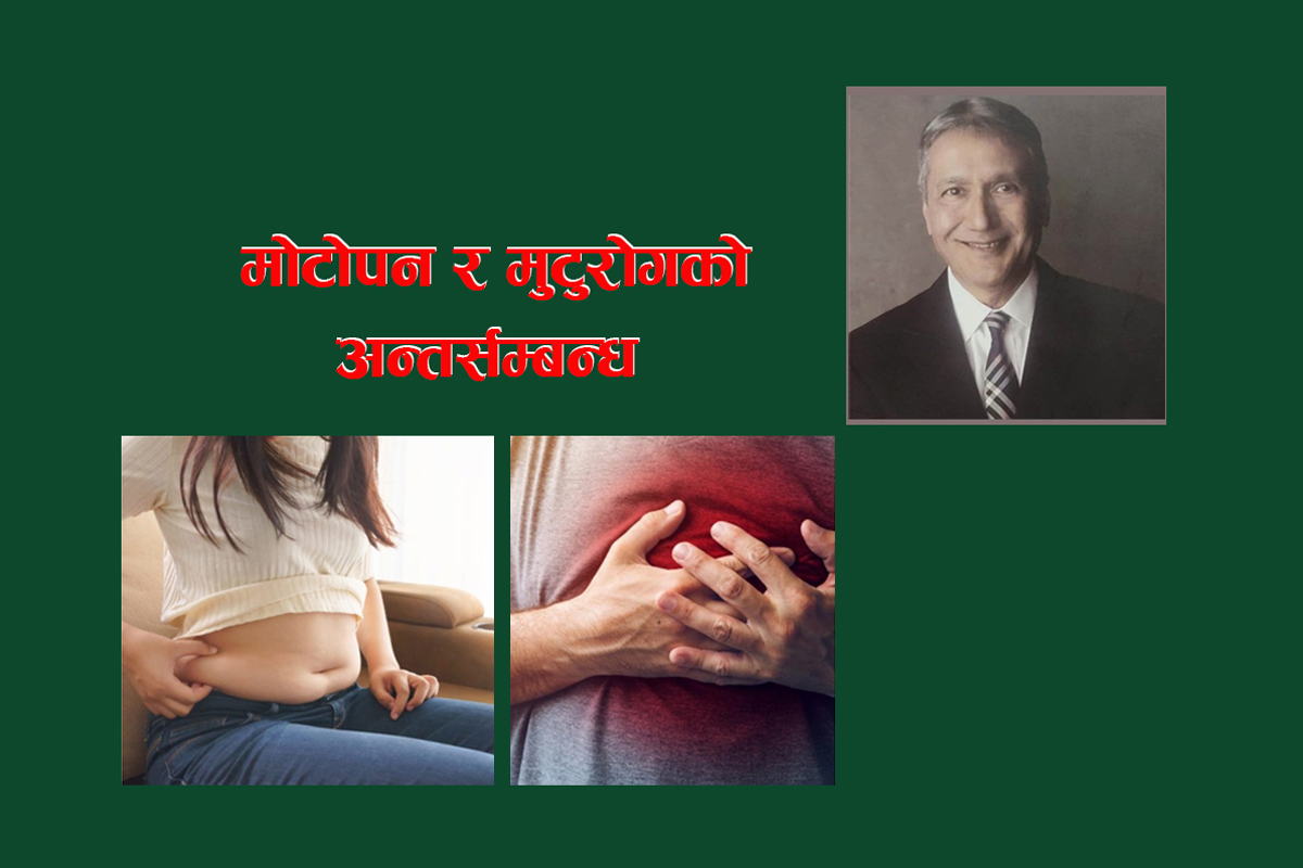 मोटोपन र मुटुरोगको अन्तर्सम्बन्ध  