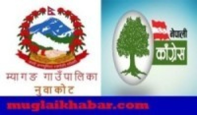 नुवाकोटको म्यागङ–१ मा कांग्रेसको प्यानल विजयी   