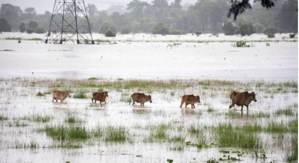 मौसममा सुधार भएसँगै बाढीपीडित घर फर्कंदै