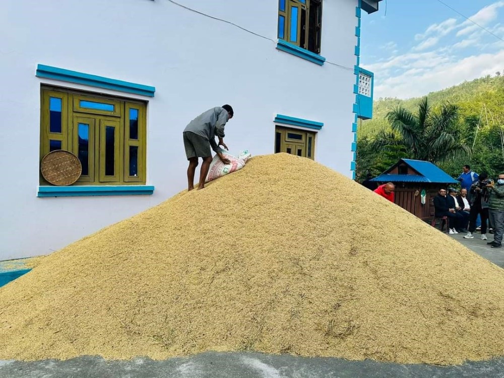 बारा र पर्साबाट दुई हजार दुई सय ७२ क्वीन्टल धान खरिद