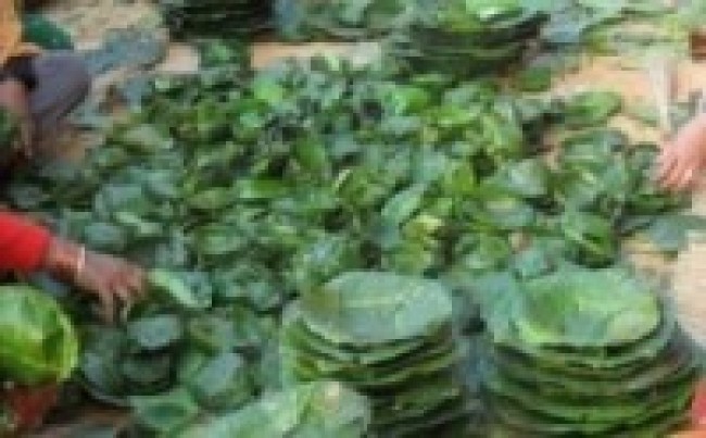 हराउँदै गयो हातले गाँसेका दुनाटपरी    