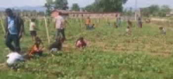 करेसाबारीको तरकारी दिवा खाजामा