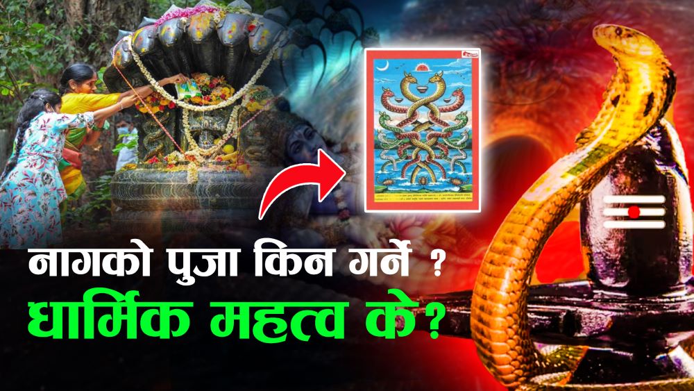 नागको पूजाआराधना गरी आज नागपञ्चमी पर्व मनाइँदै