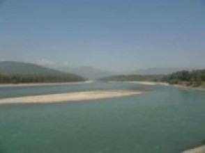 नारायणी किनारमा चियाको प्रदर्शनी गरिने