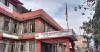 १० हजार किलो पोखरेली जेठोबुढोको बीउ वितरण  