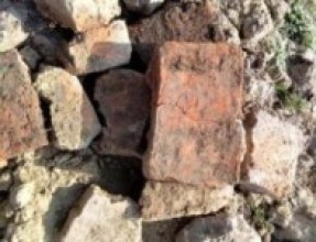 पुरातात्विक महत्वको देउरवास्थल संरक्षणको पर्खाइमा