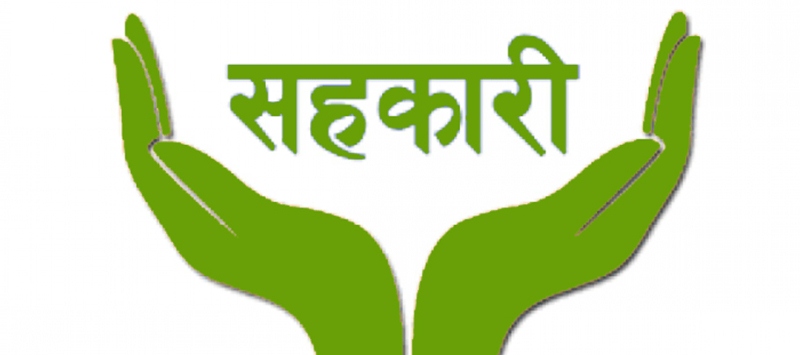सहकारी ठगी प्रकरणमा प्रतिवादीहरूको बयान जारी