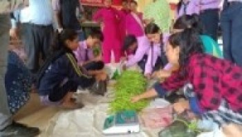 तरकारी उत्पादनमा शिक्षाको भूमिका: विद्यार्थीहरूको उद्यमिता