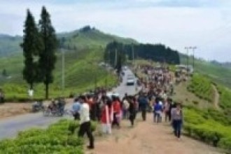 इलामको फिक्कलमा वैशाख १ र २ गते ‘सूर्योदय सडक महोत्सव’ हुने