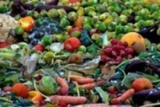 कृषि क्षेत्रको बजारीकरणका लागि प्राङ्गारिक कृषि मेला